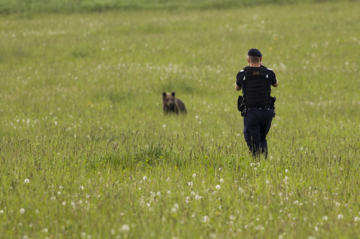 &bullet;  Fotó: Csiszér Attila
