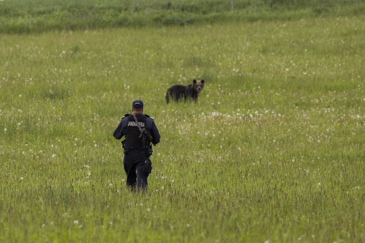 &bullet;  Fotó: Csiszér Attila