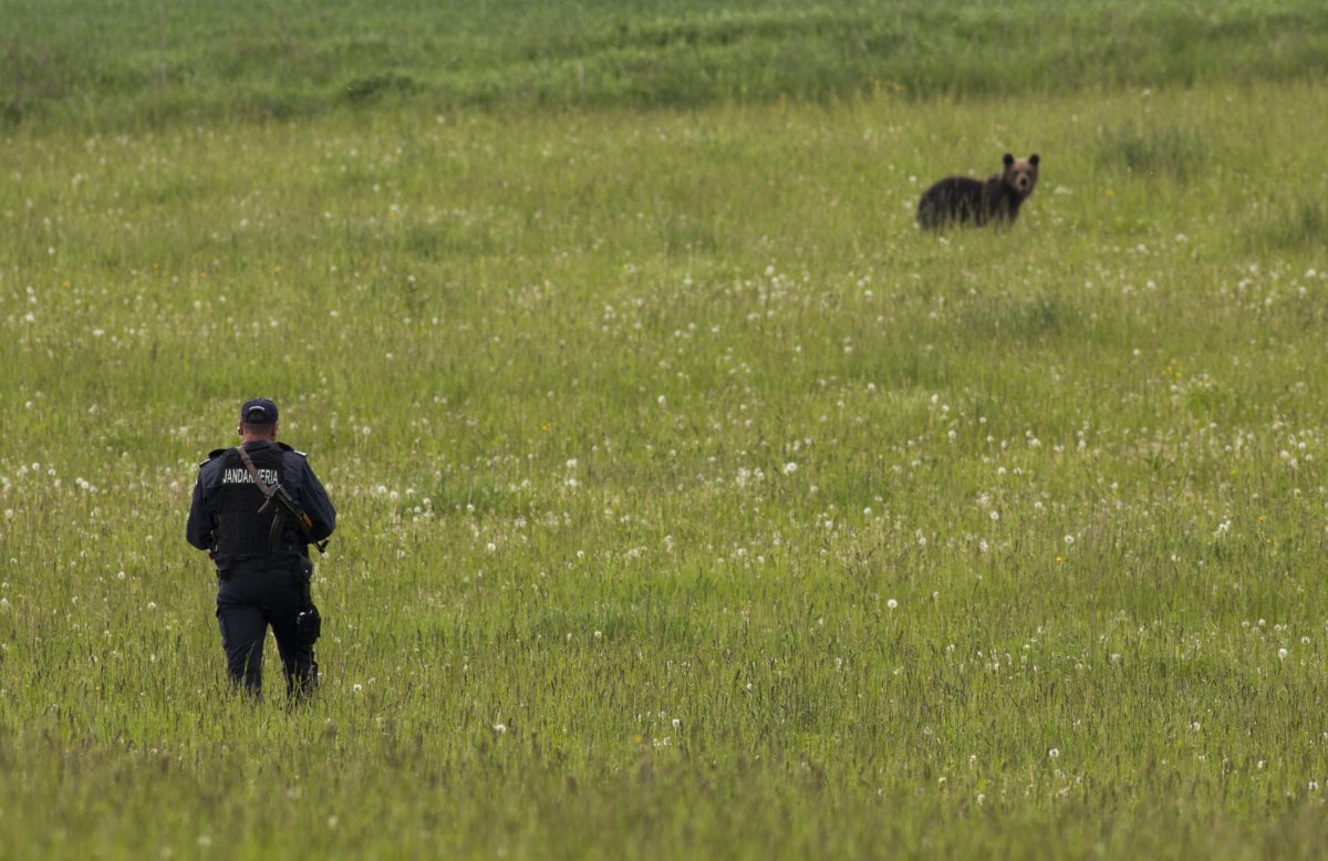 &bullet;  Fotó: Csiszér Attila