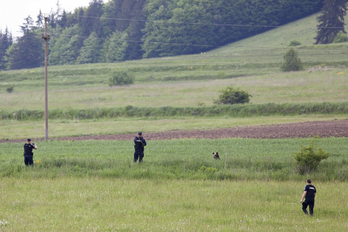 &bullet;  Fotó: Csiszér Attila