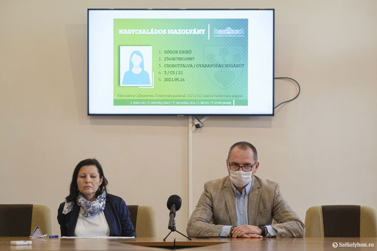 Képernyőn a nagycsaládos kártya mintája •  Fotó: Veres Nándor