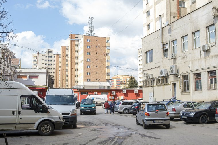 Menekülniük kell a rágcsálóknak Csíkszeredából, különben...