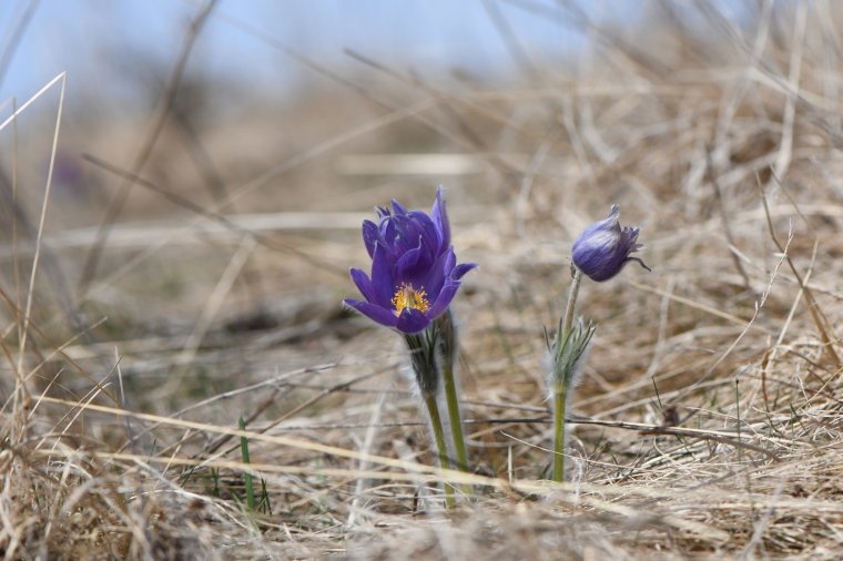 Három megye harminc települését érinti a természetvédelmi kezdeményezés