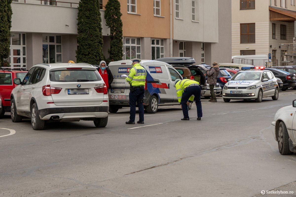 •  Fotó: Farkas Gecse Noémi