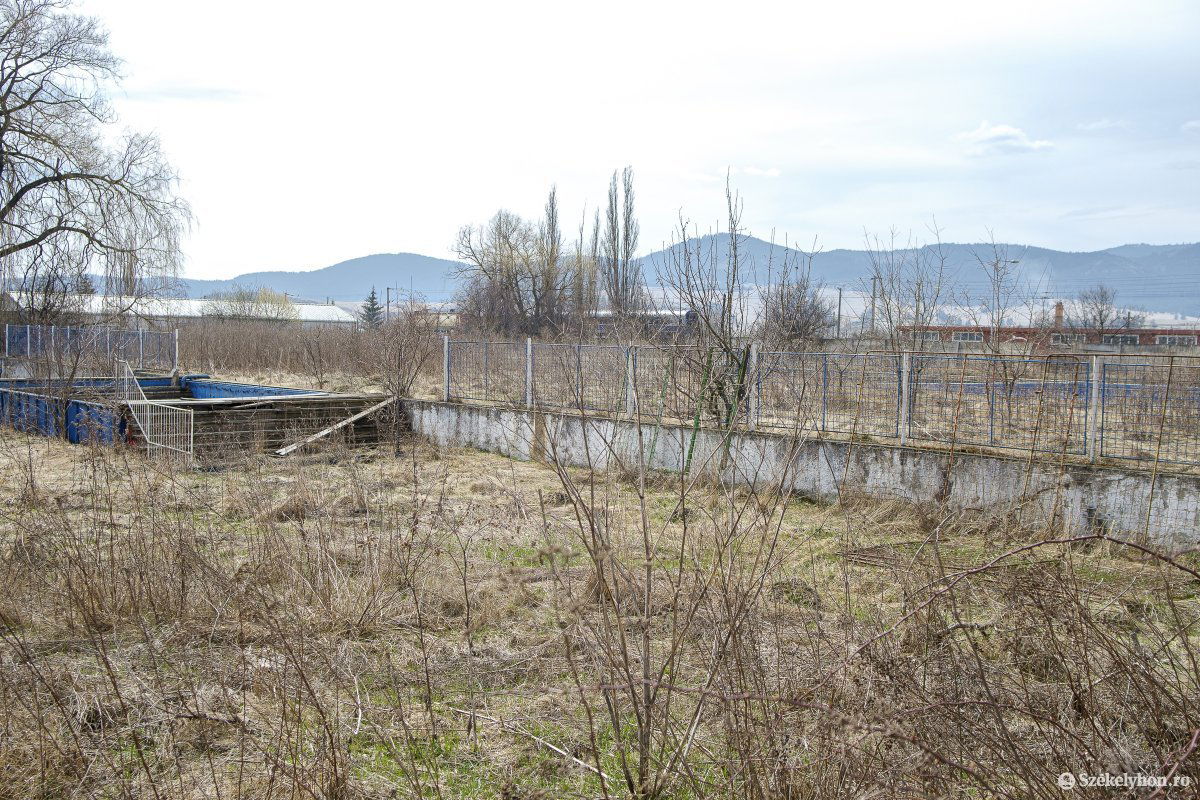 &bullet;  Fotó: Veres Nándor