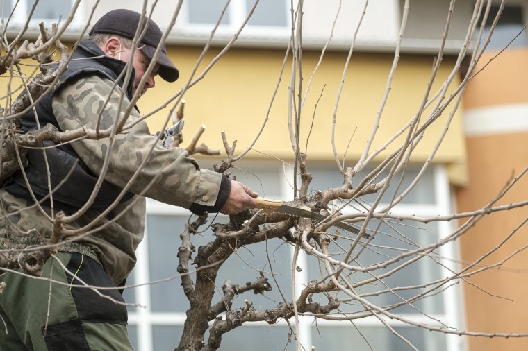 Ekkor zajlik a tavaszi nagytakarítás a székelyföldi városokban
