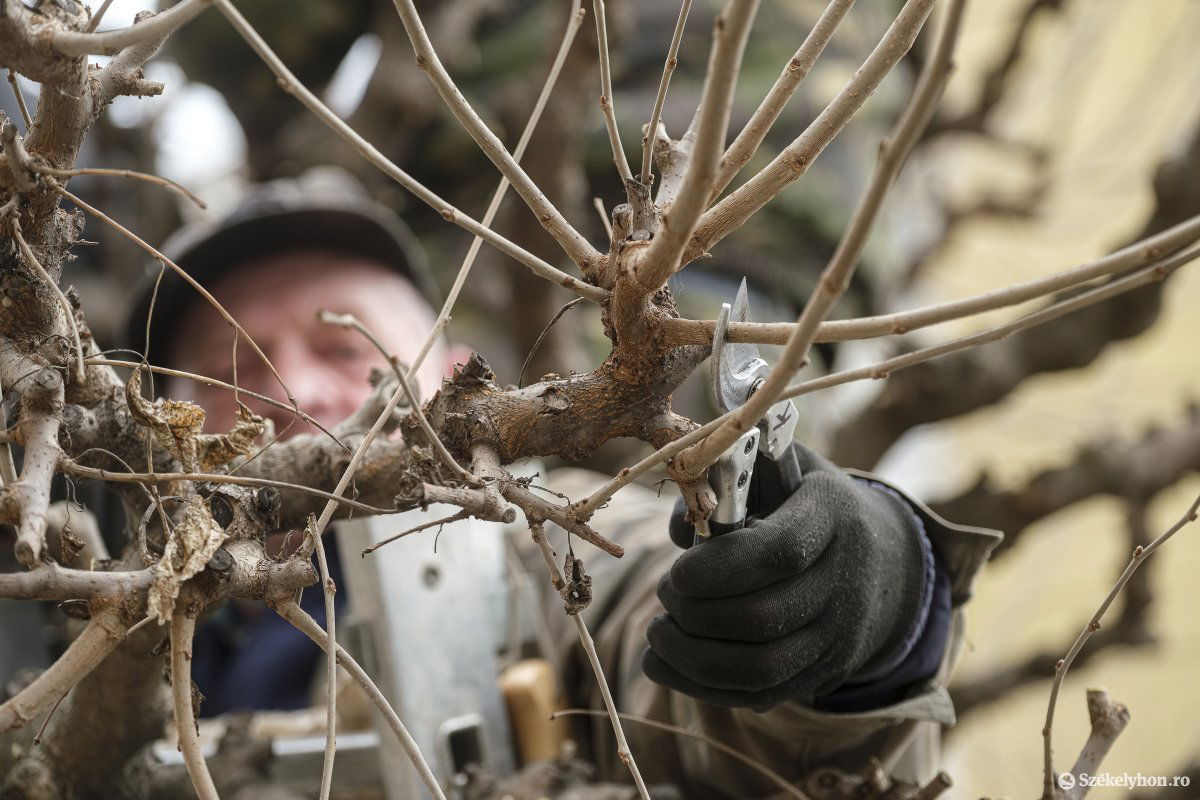 Képünk illusztráció &bullet;  Fotó: Veres Nándor