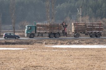 3,5 köbméterrel több faanyagot szállítottak, mint amennyit a menetlevélben írt