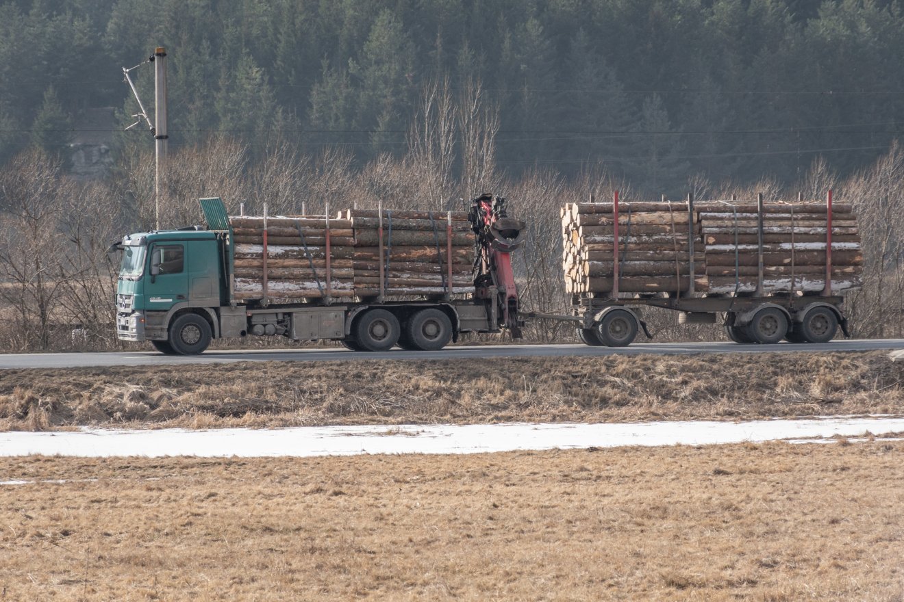 Több mint 3500 köbméter illegálisan kitermelt faanyagot foglalt le tavaly decemberben az erdőőrség