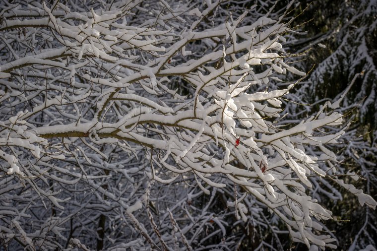 Csapadékos időszak jön, változó formában: hóval, havas esővel, esővel