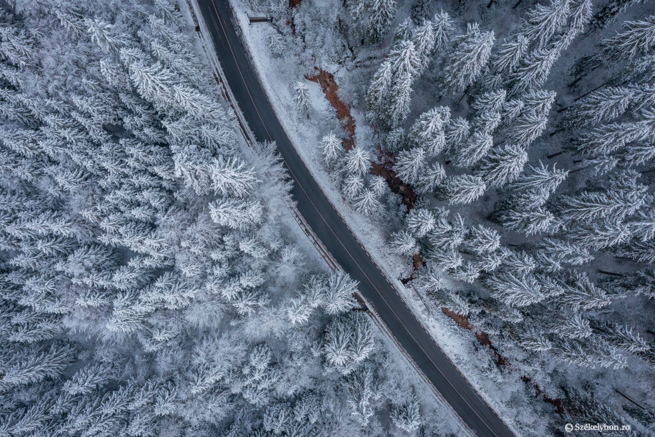 Képünk illusztráció •  Fotó: Pinti Attila
