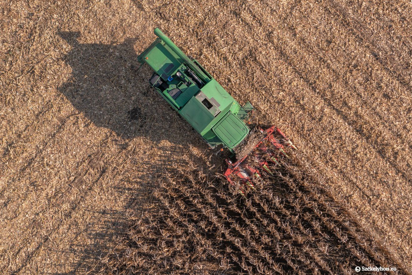 A székelyföldi vidékfejlesztés és agrárium kihívásairól is szó lesz a szakmai rendezvényen. Képünk illusztráció •  Fotó: Pinti Attila