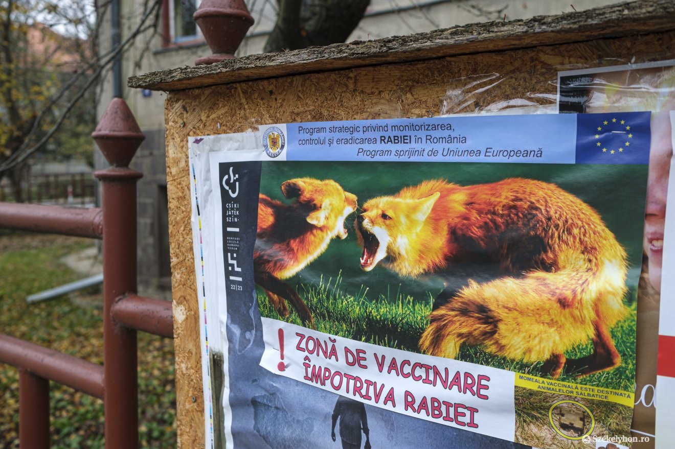 &bullet;  Fotó: Veres Nándor
