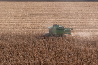 Eurómilliárdok áramlanak az EU költségvetéséből a romániai mezőgazdaságba