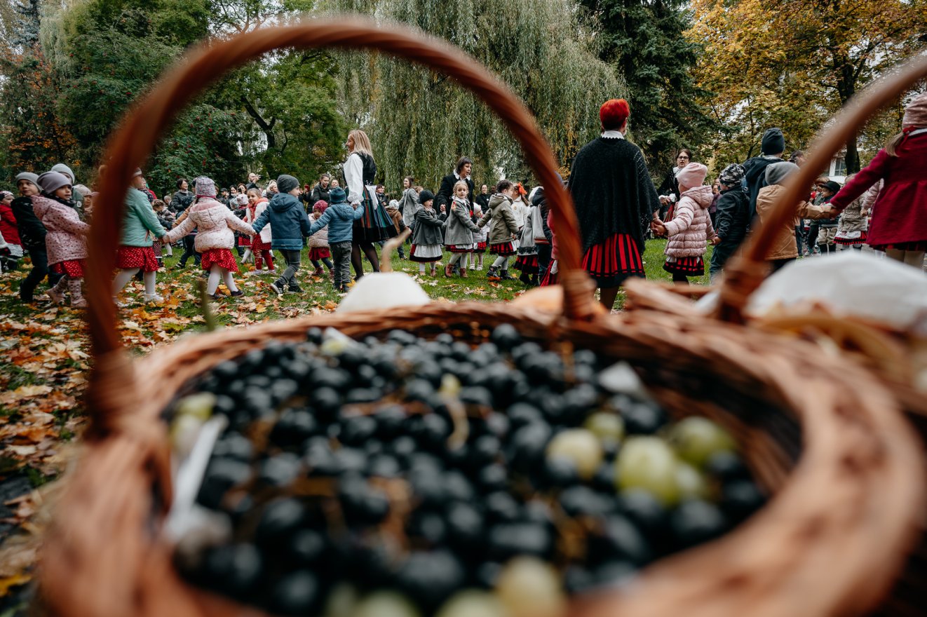 Tizedik alkalommal tartanak Napocskás Szüreti Felvonulást Csíkszeredában