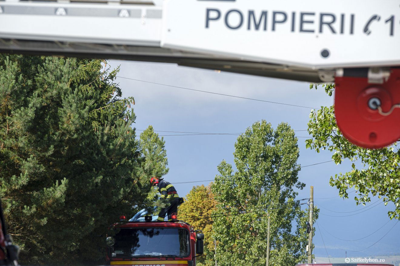 •  Fotó: Veres Nándor