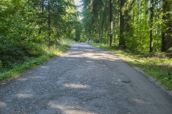 Nincs pénz a gerincútvonal korszerűsítésére