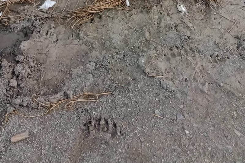 Képünk illusztráció •  Fotó: Nyári László
