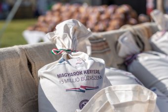 Búzaösszeöntő ünnepséget tart Válaszúton a Pro Agricultura Egyesület