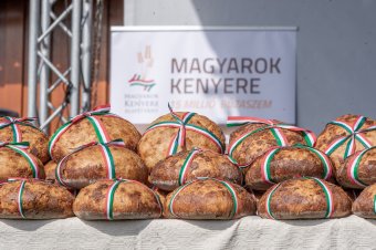 Székelyföldi Búzaösszeöntés Ünnepe Nyárádszeredában