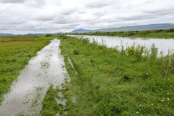Megáradt a Küküllő, le kellett állítani ideiglenesen a vasúti közlekedést
