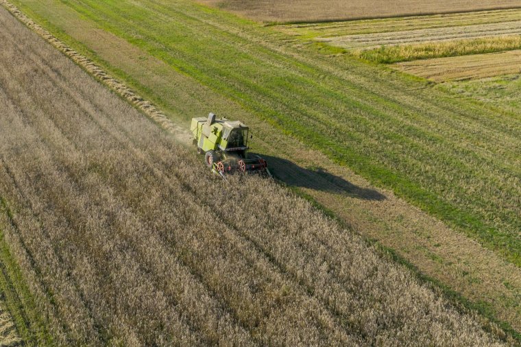 Románia elküldte Brüsszelbe az agrárszektort érintő országos stratégiai tervét