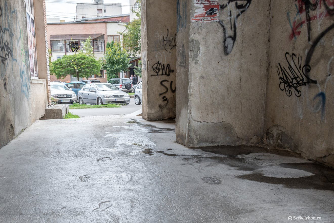 •  Fotó: Pinti Attila