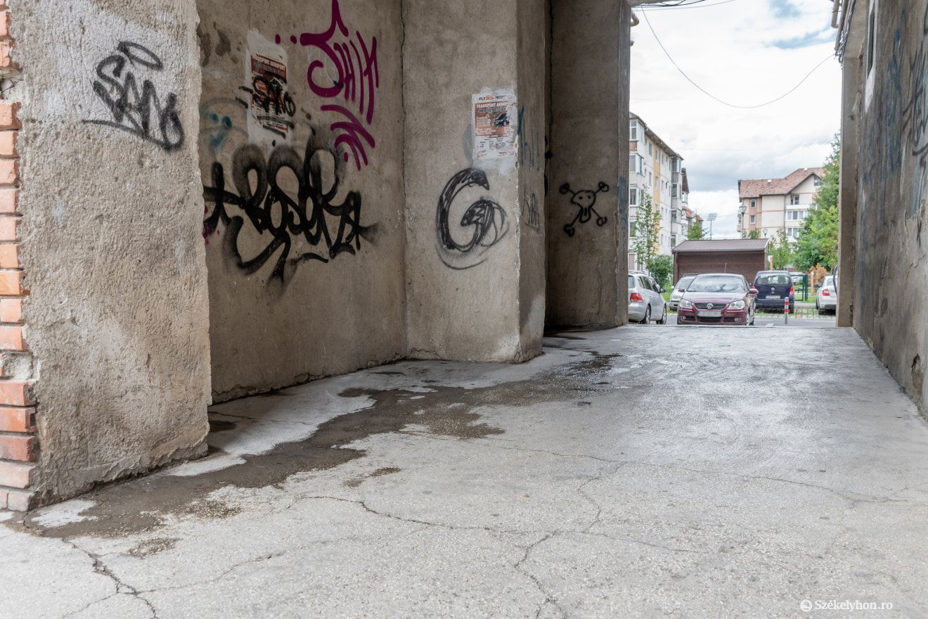 •  Fotó: Pinti Attila