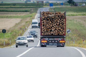 A mesterséges intelligenciát is bevetik a fatolvajok ellen