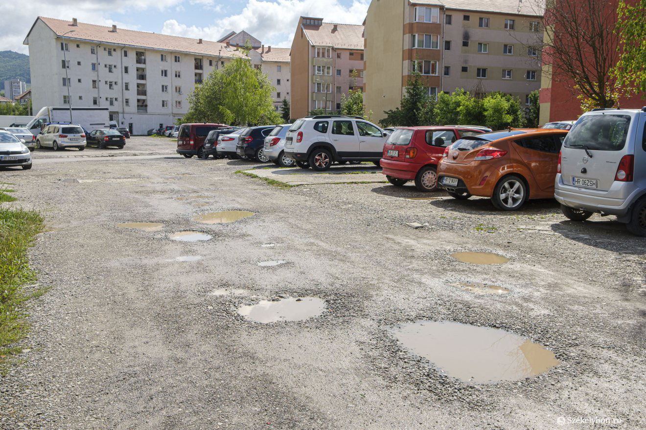 •  Fotó: Veres Nándor