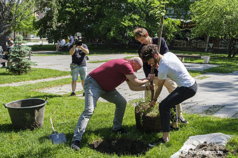 A színház melletti parkban egy „sarlatánfát” is elültettek •  Fotó: Veres Nándor