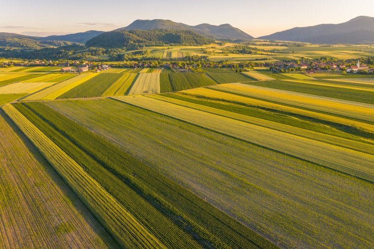 APIA: több mint 750 ezer agrártámogatást nyújtottak be a gazdák