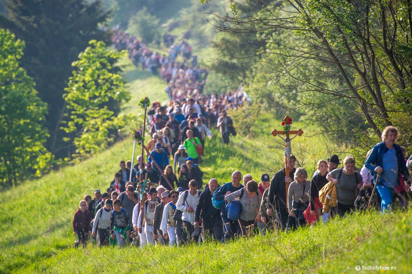 •  Fotó: Beliczay László