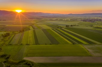 APIA: szeptember végéig lehet aláírni az agrártámogatási kérelmeket