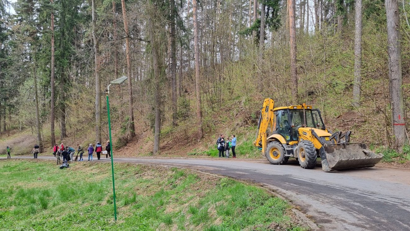 Kilátót szeretnénk építeni a dendrológiai parkba. Archív •  Fotó: Suciu Cristian