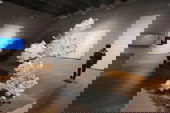 Marosvásárhelyen lesz látogatható szombattól október közepéig  Barabási Albert-László világhírű hálózatkutató tárlata