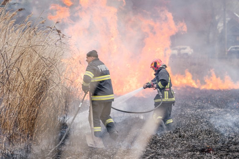 Nem lehet elégszer hangsúlyozni: a tavaszi tarlóégetés talajpusztítás és élőhelyrombolás
