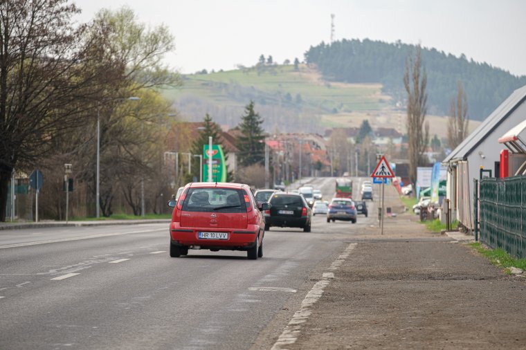 Medve a Brassói úton