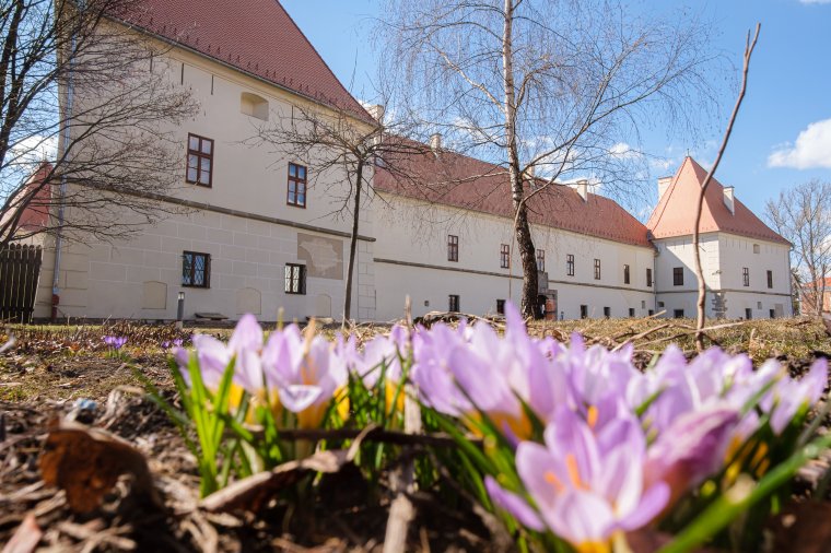 Igazgatót keresnek a Csíki Székely Múzeum élére