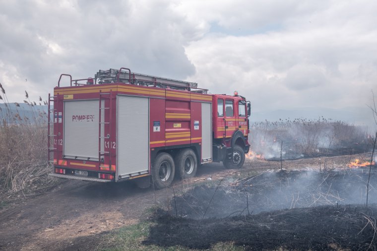 Mintegy tíz hektáron égett a növényzet, a bokrok és az avar Udvarhelyszéken