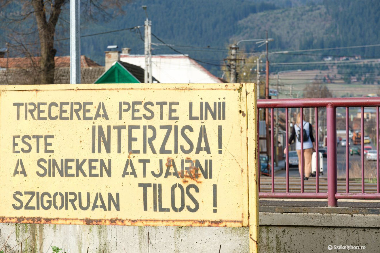 •  Fotó: Veres Nándor