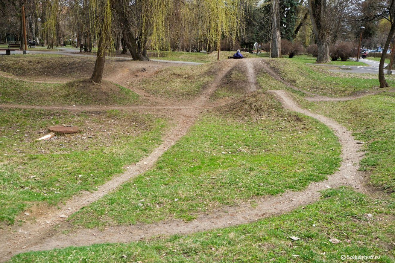 A csíkszeredai központi park volt a csendőr által látott lopás helyszíne. Képünk illusztráció •  Fotó: Veres Nándor