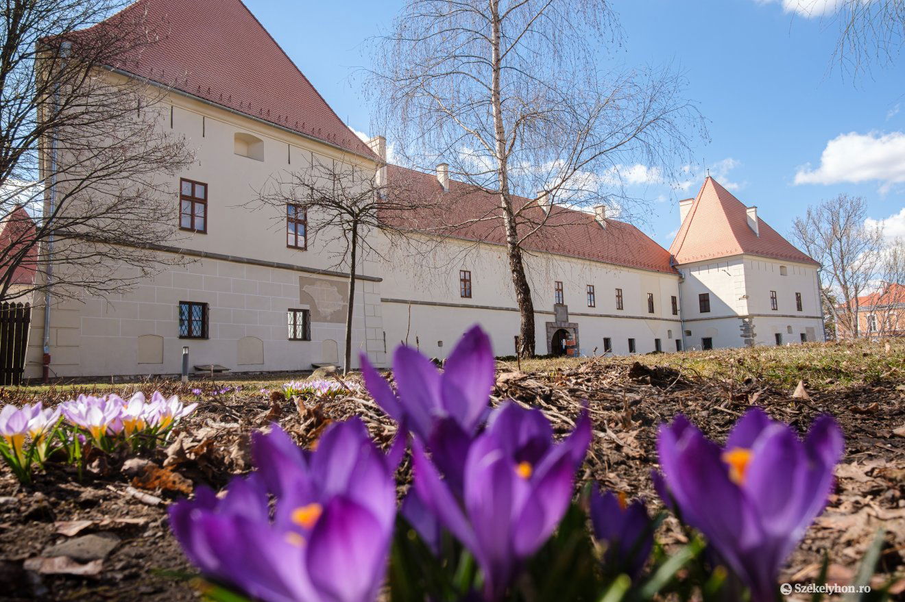 Új vezetője lesz a csíkszeredai múzeumnak •  Fotó: Veres Nándor