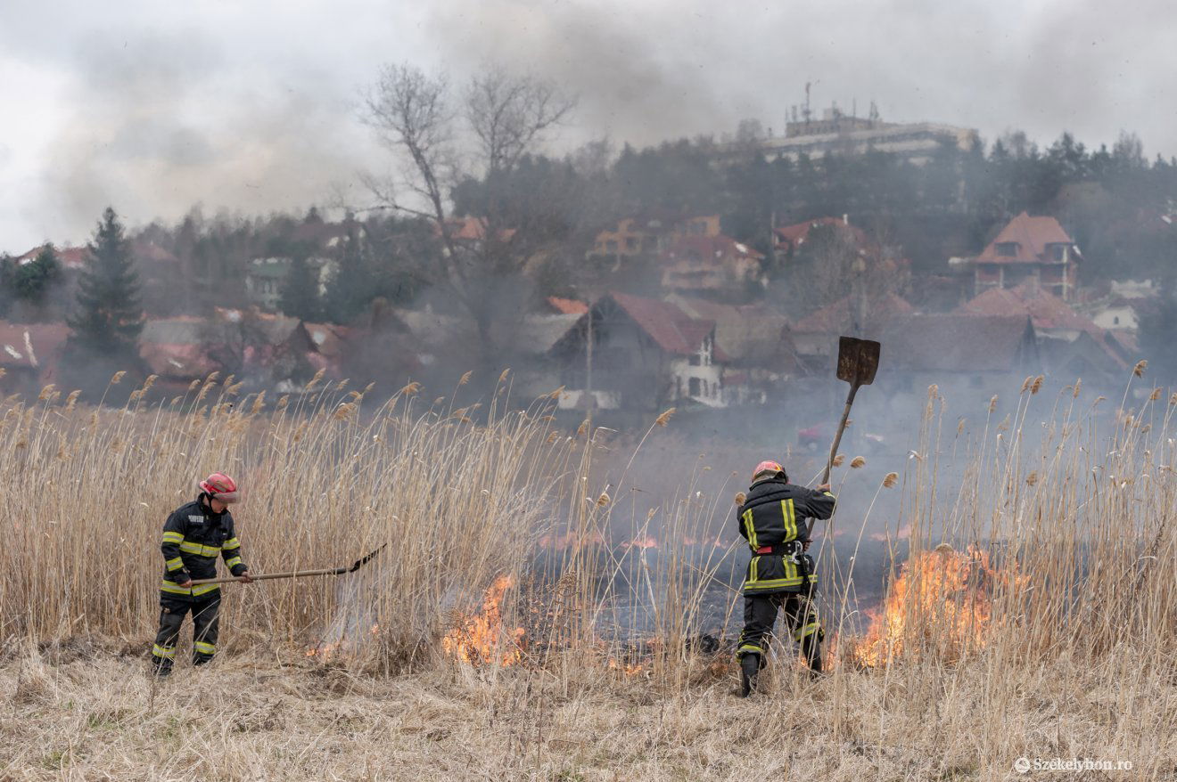 Képünk illusztráció •  Fotó: Pinti Attila