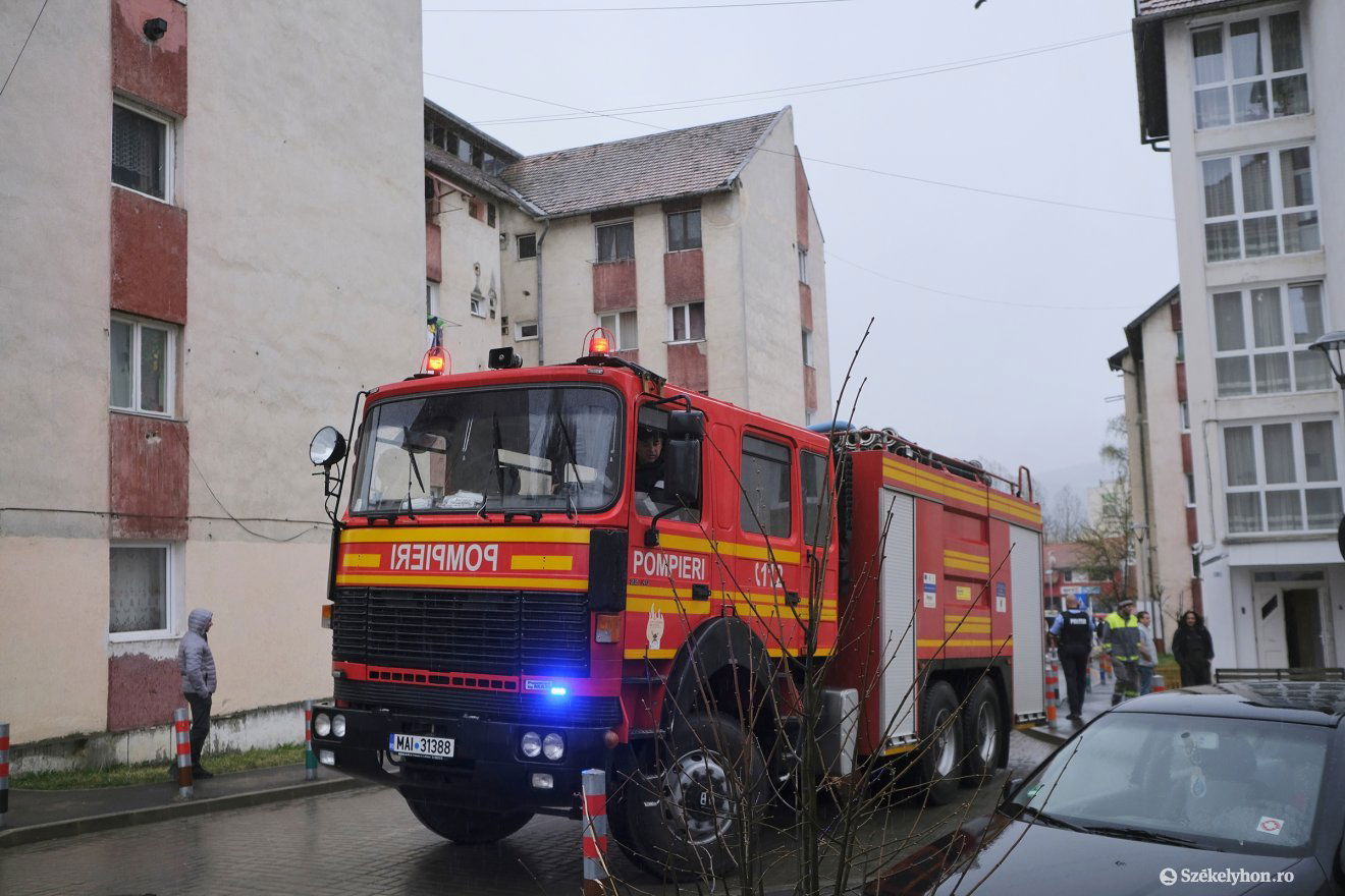 •  Fotó: Veres Nándor