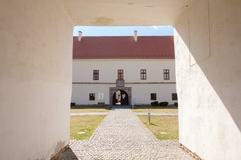 Kígyók, sárkányok, griffmadarak címmel nyílik kiállítás