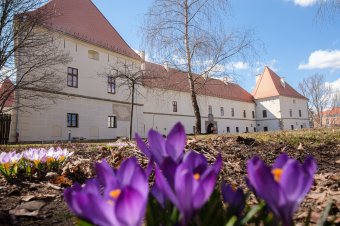 Nagy István festő emléke előtt tisztelegnek Csíkszeredában