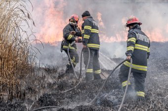 Sok a tarlótűz miatti riasztás, de a tettes rendre ismeretlen marad