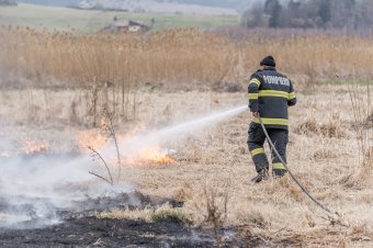 Utasok nélküli vasúti szerelvény motorja gyúlt ki, a lángok a növényzetre is átterjedtek