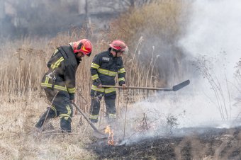 Harminc hektáron égett a tarló